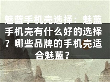 魅蓝手机壳选择：魅蓝手机壳有什么好的选择？哪些品牌的手机壳适合魅蓝？