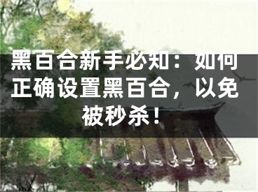 黑百合新手必知：如何正确设置黑百合，以免被秒杀！