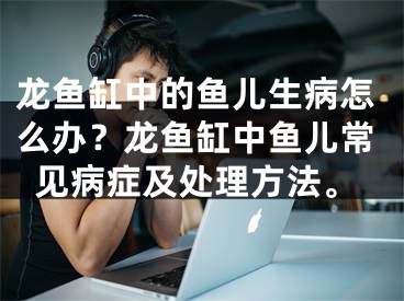 龙鱼缸中的鱼儿生病怎么办？龙鱼缸中鱼儿常见病症及处理方法。