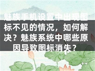 魅族手机设置中出现图标不见的情况，如何解决？魅族系统中哪些原因导致图标消失？