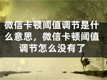 微信卡顿阈值调节是什么意思，微信卡顿阈值调节怎么没有了