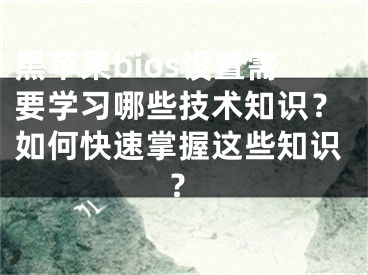 黑苹果bios设置需要学习哪些技术知识？如何快速掌握这些知识？ 