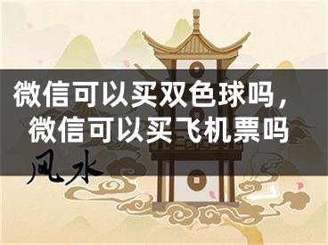 微信可以买双色球吗，微信可以买飞机票吗