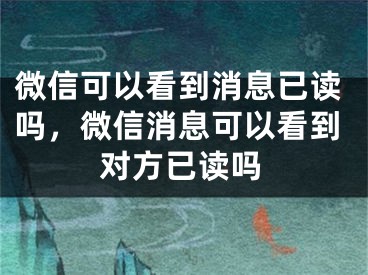 微信可以看到消息已读吗，微信消息可以看到对方已读吗