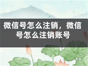 微信号怎么注销，微信号怎么注销账号