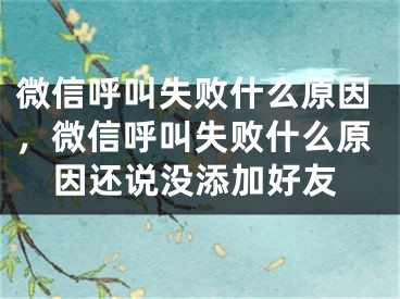 微信呼叫失败什么原因，微信呼叫失败什么原因还说没添加好友