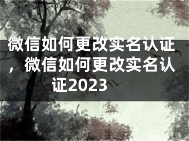 微信如何更改实名认证，微信如何更改实名认证2023