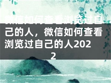 微信如何查看浏览过自己的人，微信如何查看浏览过自己的人2022