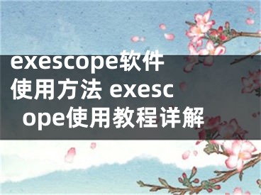 exescope软件使用方法 exescope使用教程详解