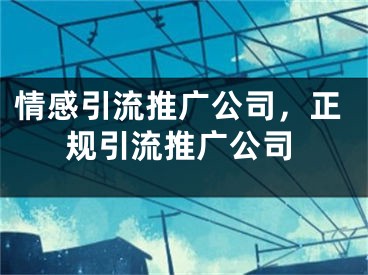 情感引流推广公司，正规引流推广公司