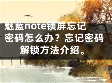 魅蓝note锁屏忘记密码怎么办？忘记密码解锁方法介绍。