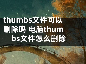 thumbs文件可以删除吗 电脑thumbs文件怎么删除