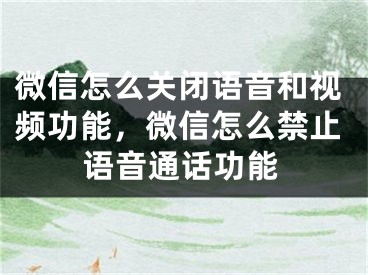 微信怎么关闭语音和视频功能，微信怎么禁止语音通话功能