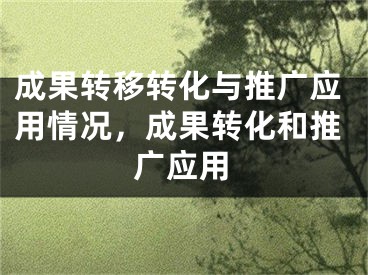 成果转移转化与推广应用情况，成果转化和推广应用
