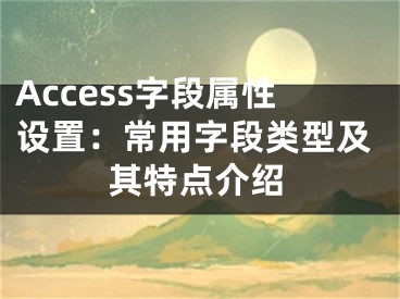 Access字段属性设置：常用字段类型及其特点介绍