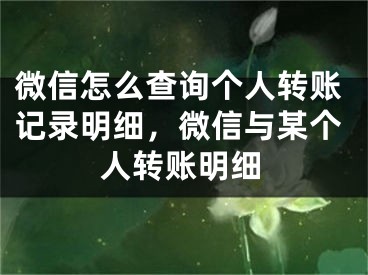 微信怎么查询个人转账记录明细，微信与某个人转账明细