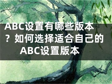 ABC设置有哪些版本？如何选择适合自己的ABC设置版本