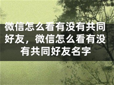 微信怎么看有没有共同好友，微信怎么看有没有共同好友名字