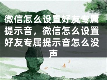 微信怎么设置好友专属提示音，微信怎么设置好友专属提示音怎么没声