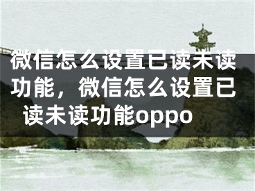 微信怎么设置已读未读功能，微信怎么设置已读未读功能oppo