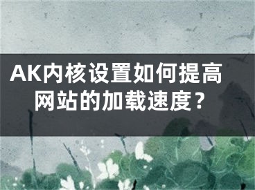 AK内核设置如何提高网站的加载速度？