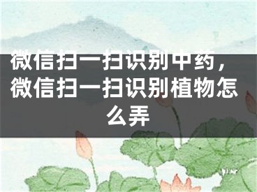 微信扫一扫识别中药，微信扫一扫识别植物怎么弄