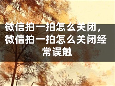 微信拍一拍怎么关闭，微信拍一拍怎么关闭经常误触