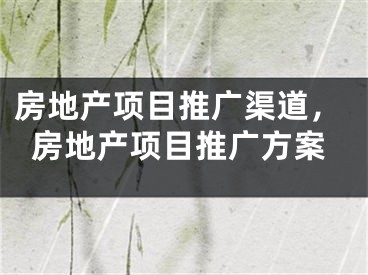 房地产项目推广渠道，房地产项目推广方案