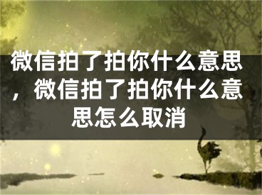 微信拍了拍你什么意思，微信拍了拍你什么意思怎么取消