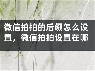 微信拍拍的后缀怎么设置，微信拍拍设置在哪