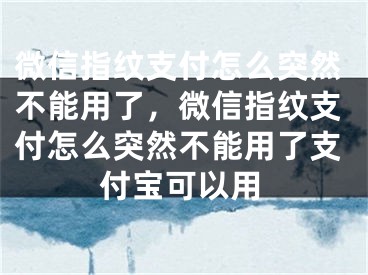 微信指纹支付怎么突然不能用了，微信指纹支付怎么突然不能用了支付宝可以用