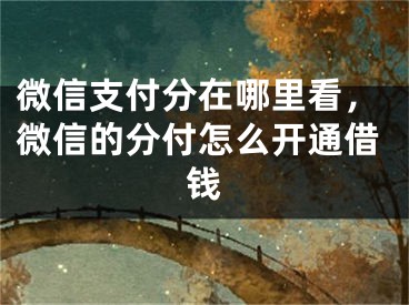 微信支付分在哪里看，微信的分付怎么开通借钱