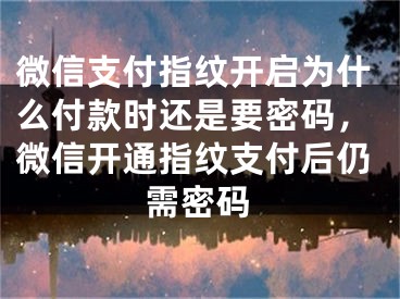 微信支付指纹开启为什么付款时还是要密码，微信开通指纹支付后仍需密码 