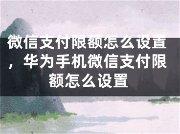 微信支付限额怎么设置，华为手机微信支付限额怎么设置