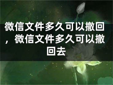 微信文件多久可以撤回，微信文件多久可以撤回去