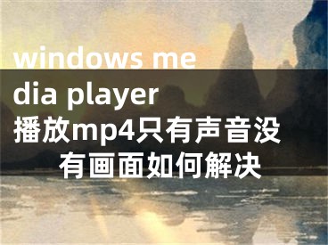 windows media player播放mp4只有声音没有画面如何解决