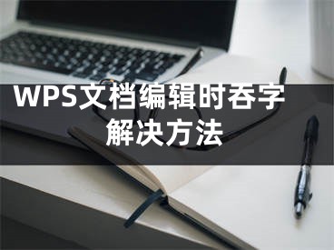 WPS文档编辑时吞字解决方法