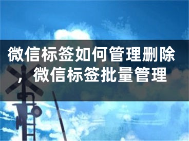 微信标签如何管理删除，微信标签批量管理