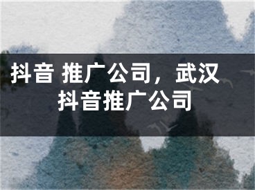 抖音 推广公司，武汉抖音推广公司