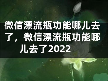 微信漂流瓶功能哪儿去了，微信漂流瓶功能哪儿去了2022