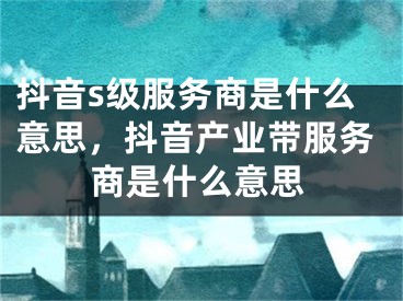 抖音s级服务商是什么意思，抖音产业带服务商是什么意思