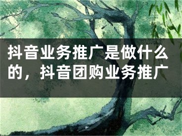 抖音业务推广是做什么的，抖音团购业务推广 