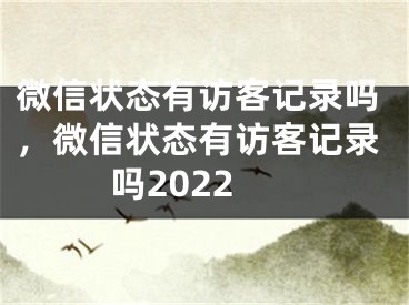 微信状态有访客记录吗，微信状态有访客记录吗2022