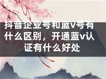 抖音企业号和蓝v号有什么区别，开通蓝v认证有什么好处 