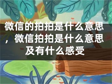 微信的拍拍是什么意思，微信拍拍是什么意思及有什么感受