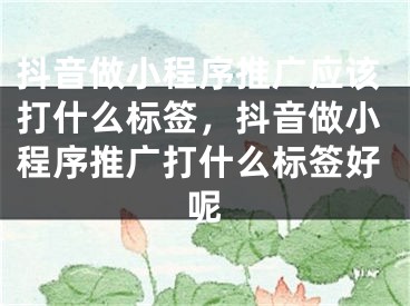 抖音做小程序推广应该打什么标签，抖音做小程序推广打什么标签好呢