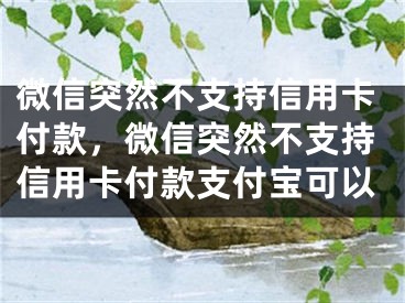 微信突然不支持信用卡付款，微信突然不支持信用卡付款支付宝可以