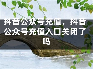 抖音公众号充值，抖音公众号充值入口关闭了吗