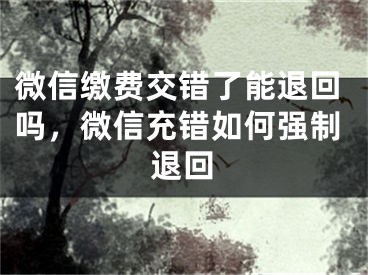 微信缴费交错了能退回吗，微信充错如何强制退回