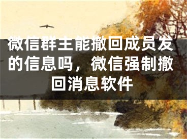 微信群主能撤回成员发的信息吗，微信强制撤回消息软件